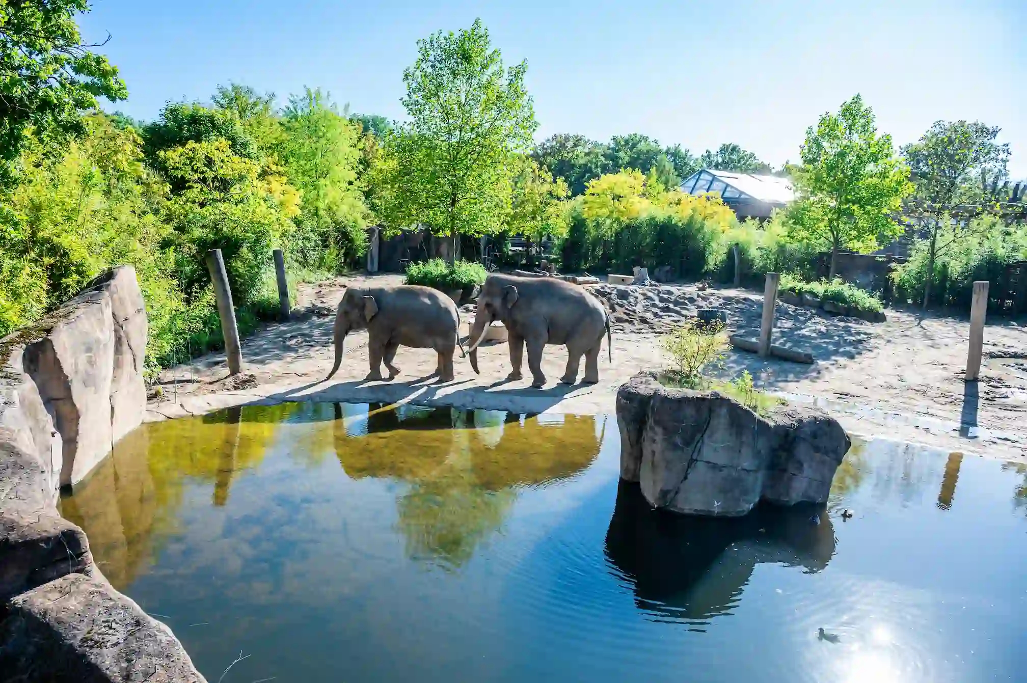 Allwetterzoo Münster