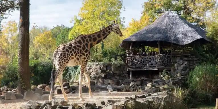 Erlebnis-Zoo Hannover